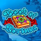 Book of Fortune icon